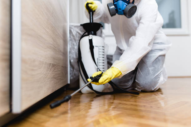 Best Wasp Removal Services  in Cinco Ranch, TX