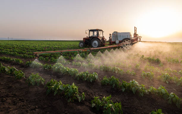 Best Mosquito Control Services  in Cinco Ranch, TX