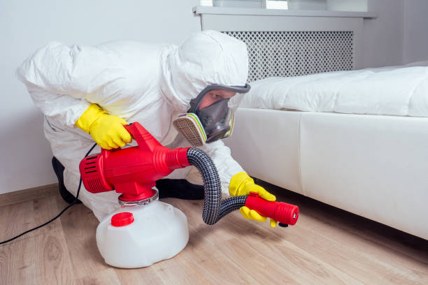 Best Best Pest Control Companies  in Cinco Ranch, TX