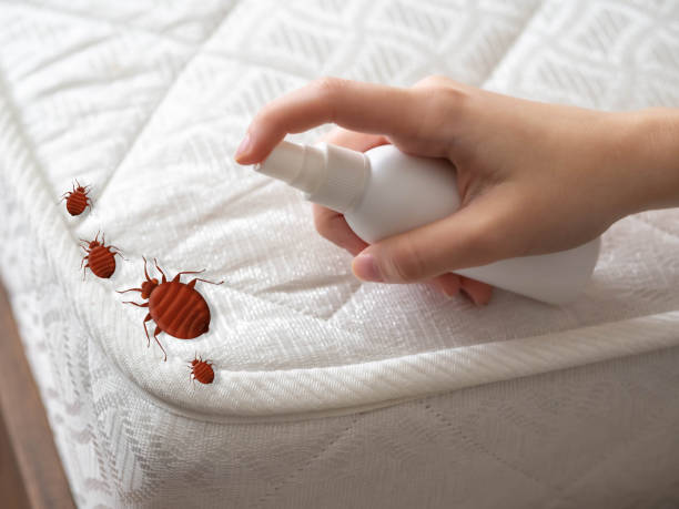 Best Commercial Pest Control Services  in Cinco Ranch, TX