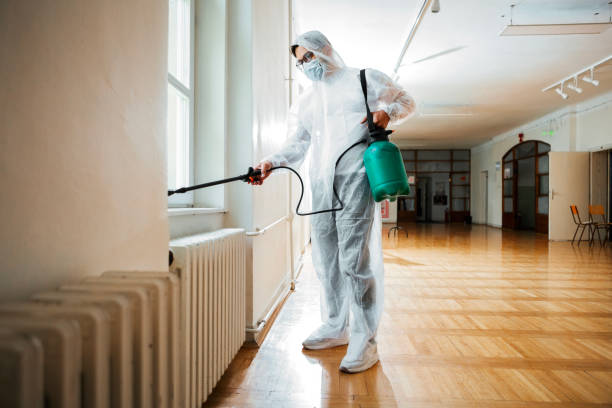 Best Rat Extermination Near Me  in Cinco Ranch, TX