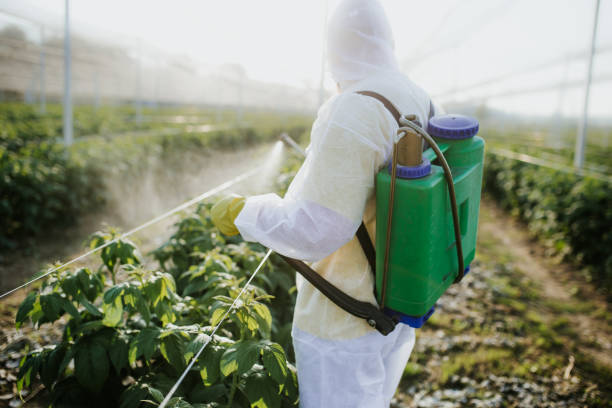 Best Affordable Pest Control Services  in Cinco Ranch, TX